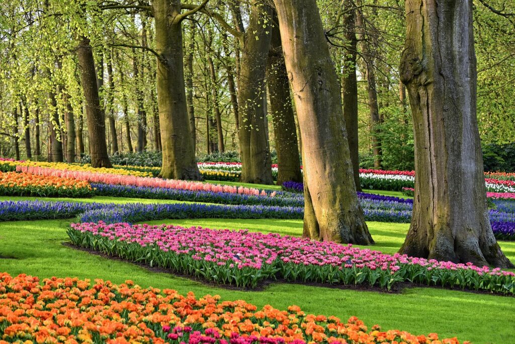 Unveiling Keukenhof 2025