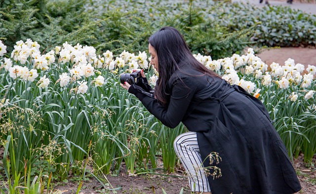 Unveiling Keukenhof 2025