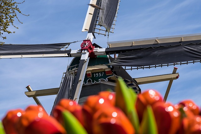 Guide to Keukenhof Tickets and Tours for 2025