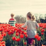 tulip-express-keukenhof-post-00304