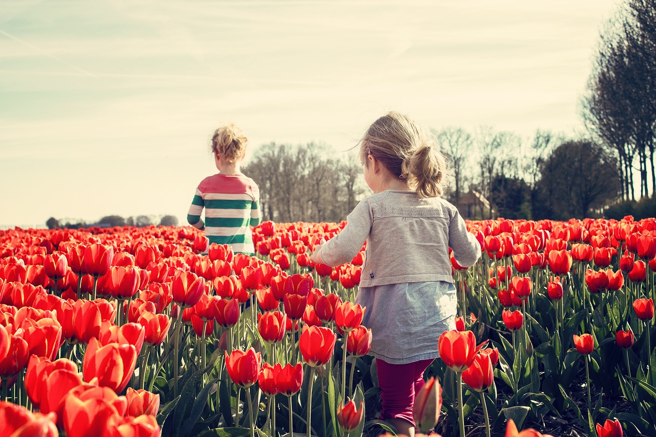 tulip-express-keukenhof-post-00304