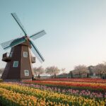 Exploring the Best Tulip Gardens in Amsterdam: A Seasonal Guide