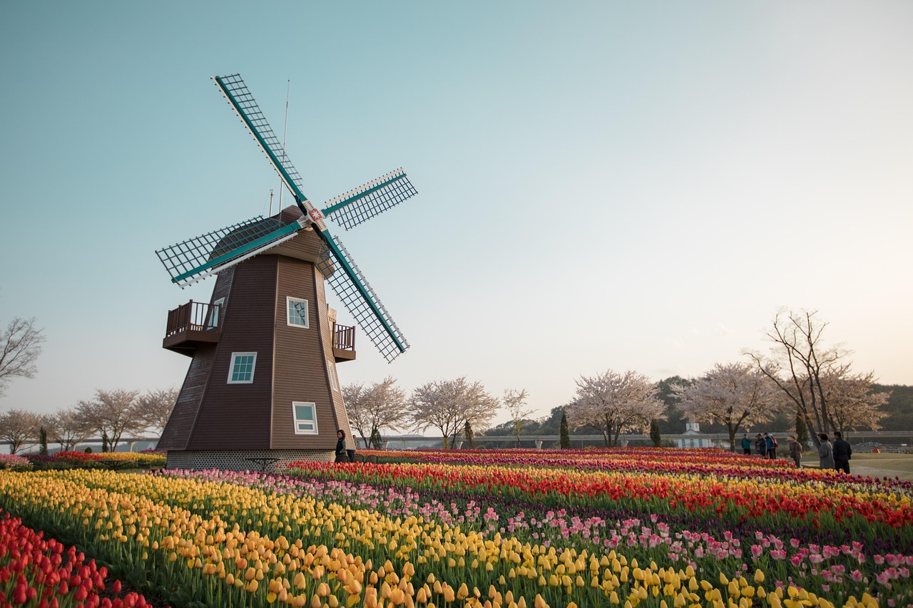 Exploring the Best Tulip Gardens in Amsterdam: A Seasonal Guide